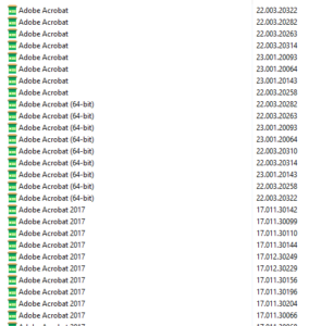 Screenshot eines Ausschnitts vom Ergebnis einer Software-Inventarisierung